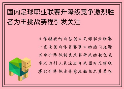 国内足球职业联赛升降级竞争激烈胜者为王挑战赛程引发关注