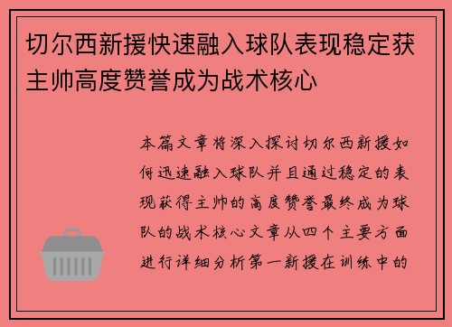 切尔西新援快速融入球队表现稳定获主帅高度赞誉成为战术核心